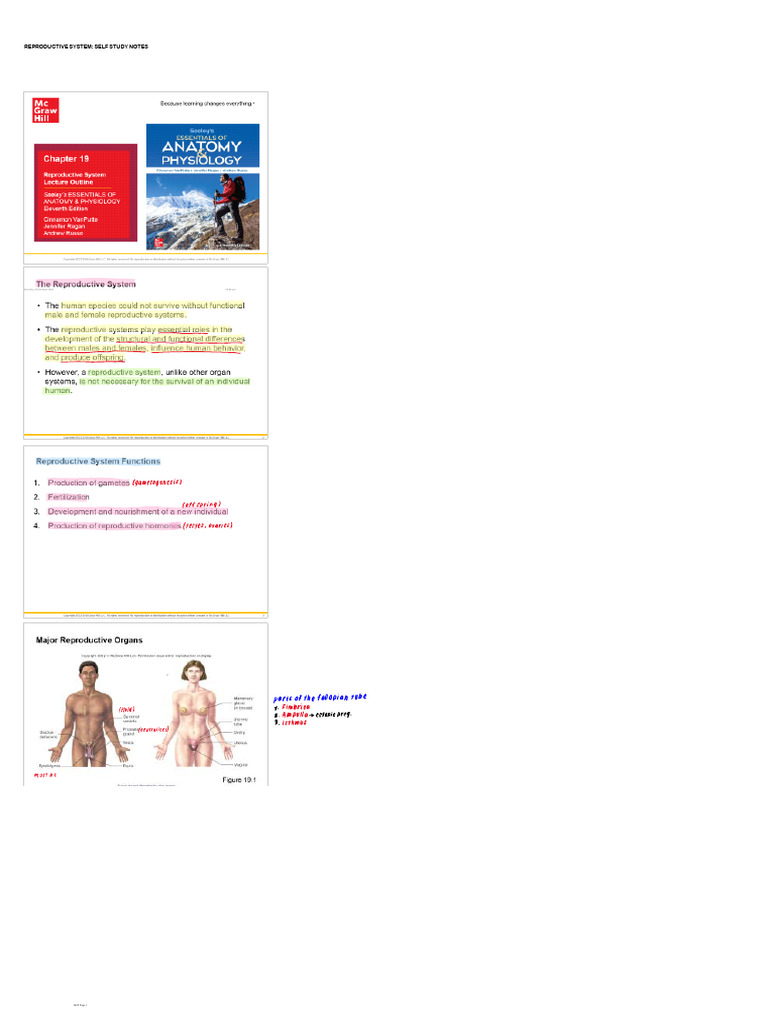Reproductive System Self Study Notes | PDF