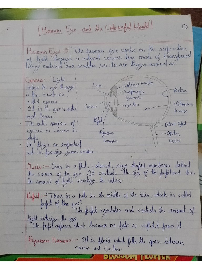 Physics Chapter 2 | PDF