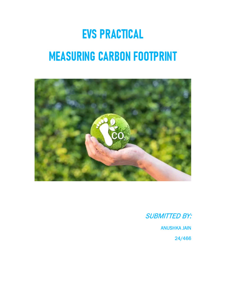 Carbon Footprint - PDF Version | PDF | Greenhouse Gas | Carbon Footprint
