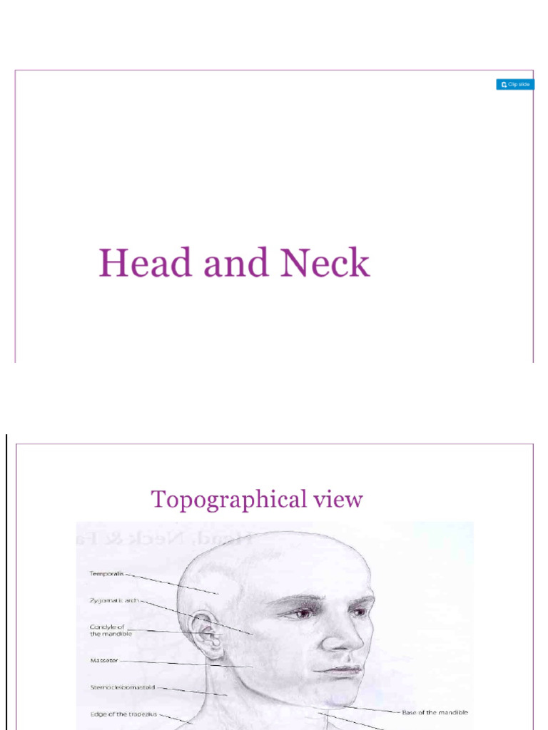 1 - Head and Neck | PDF