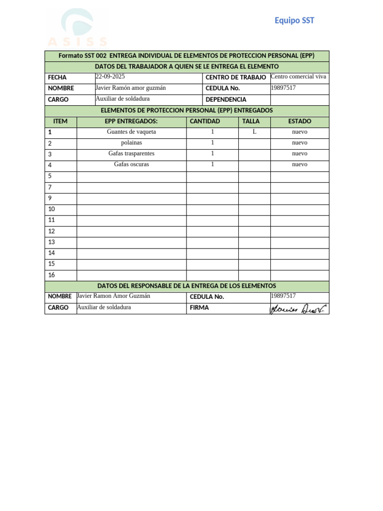 Formato SST 002 Formato Entrega Individual Epps | PDF
