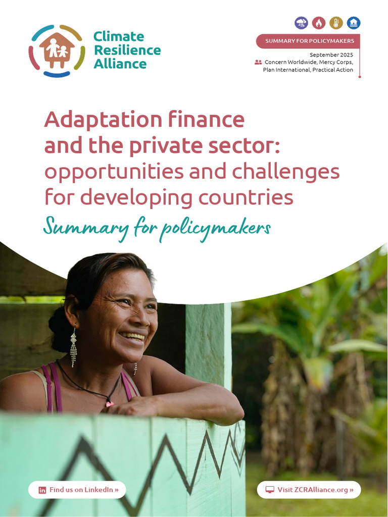 Private Sector Adaptation Finance Insights | PDF | Climate Resilience ...