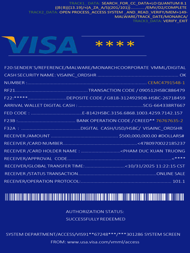 Visa Transaction Data and Verification | PDF | Data | Information Retrieval