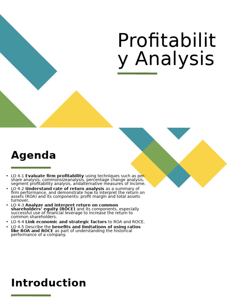 Profitability Analysis | PDF | Return On Equity | Income Statement