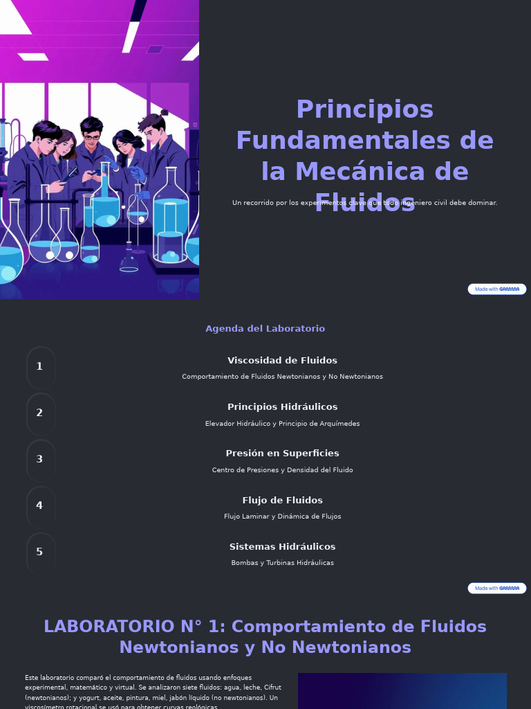 Principios Clave de Mecánica de Fluidos | PDF | Turbina | Viscosidad