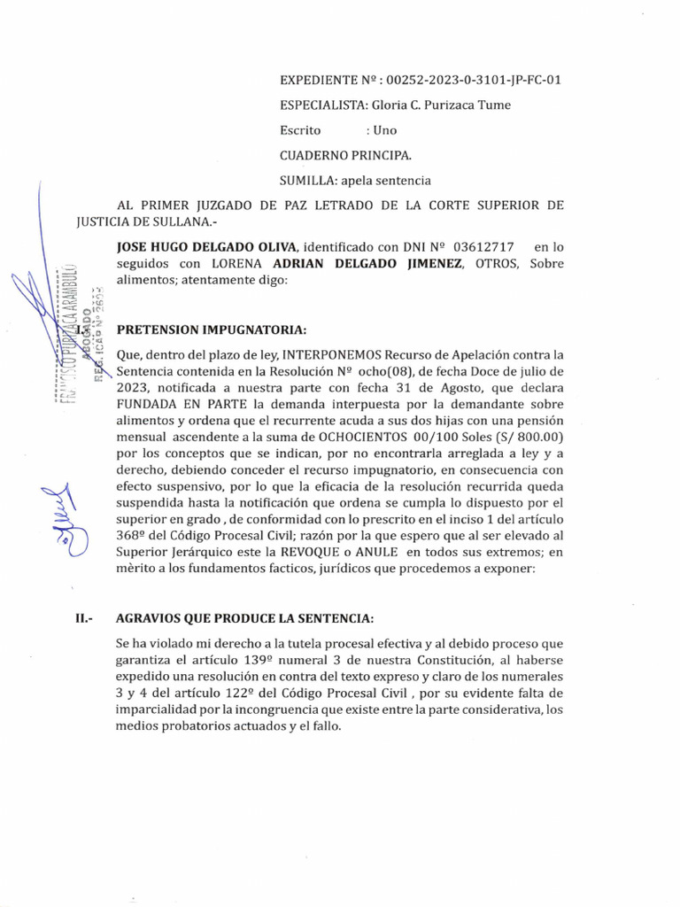 Delgado Oliva Hugo Apela Sentencia | PDF