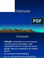 Chlamydia Rom