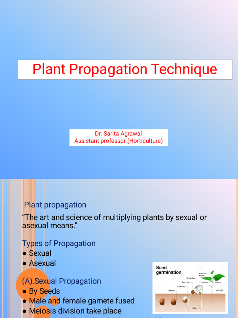 Sexual and Asexual Plant Propagation | PDF | Grafting | Plants
