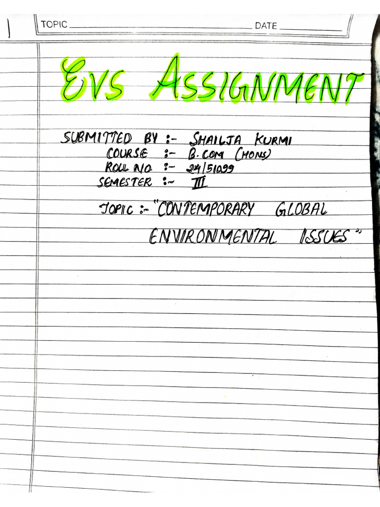 Assignment Evs | PDF