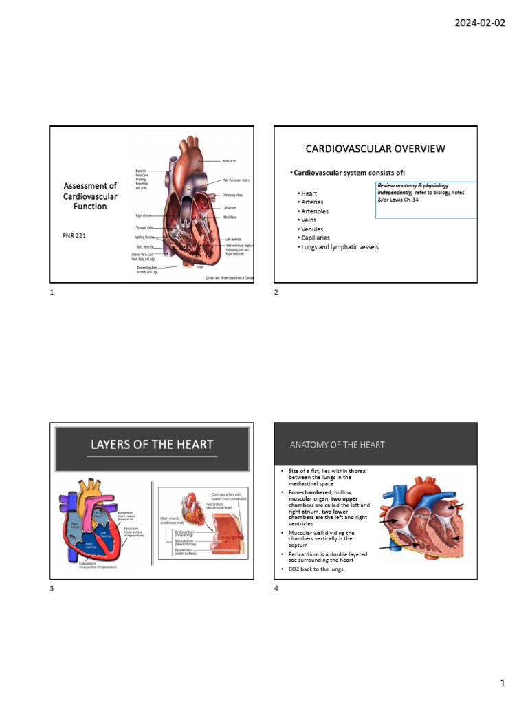 Cardiovascular Function Assessment Guide | PDF | Heart | Artery