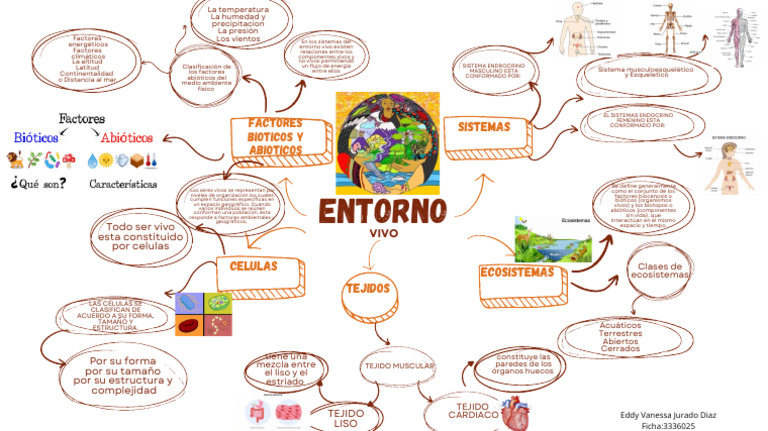 Mapa Mental Entorno Vivo | PDF | Ecosistema | Ecología