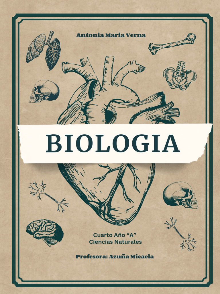 Cuarto Año Primera Parte | PDF