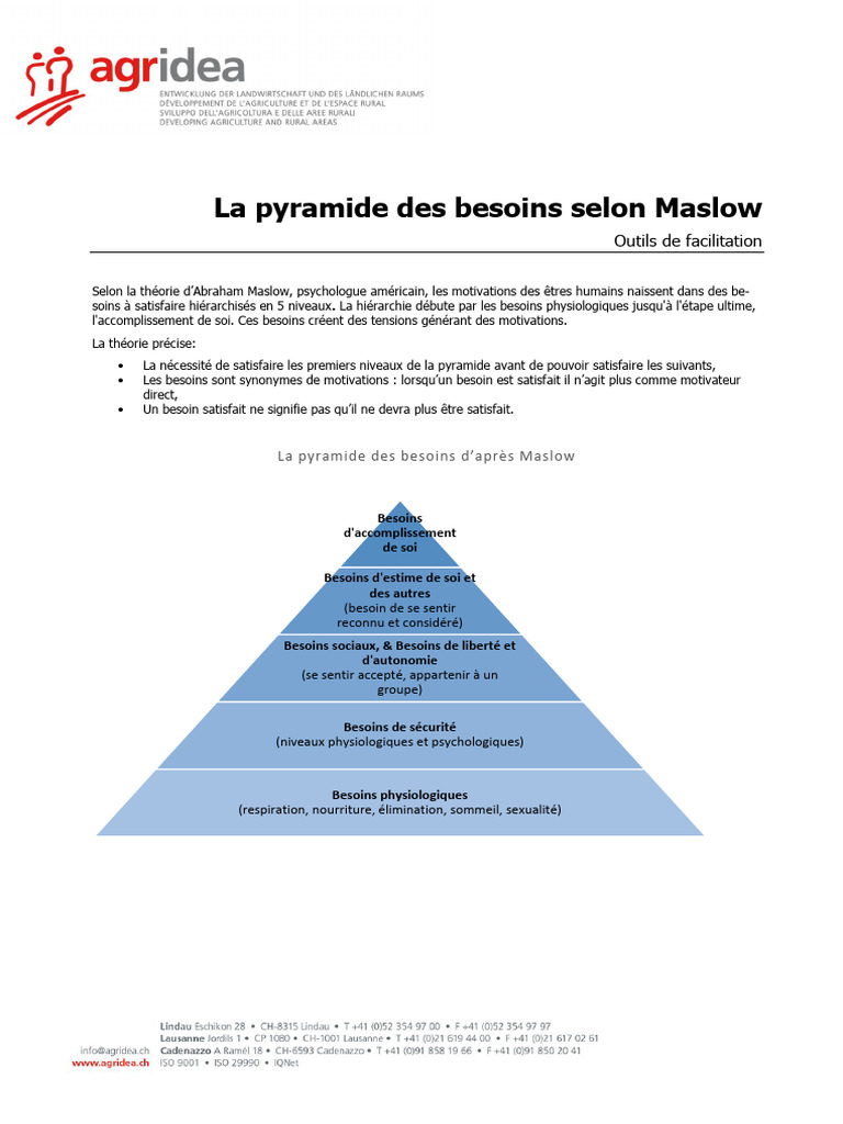 Pyramide des besoins de Maslow expliquée | PDF | Motivation | Motivant