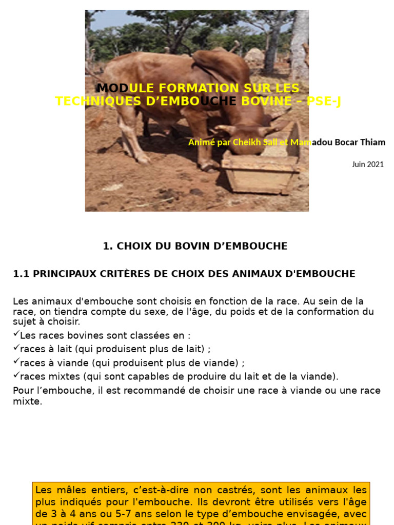 Techniques d'Emouche Bovine : Guide Complet | PDF | Maïs | Céréale