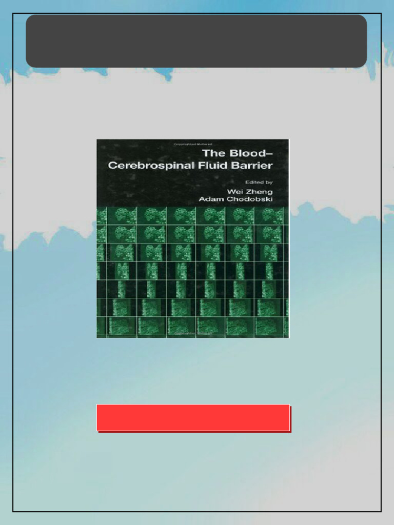 The Blood Cerebrospinal Fluid Barrier 1st Edition Wei Zheng Kindle ...