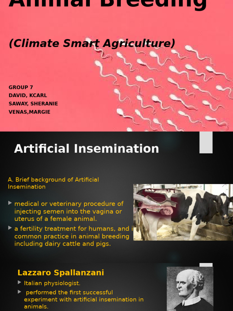 Artificial Insemination in Animal Breeding | PDF | Biology | Reproduction