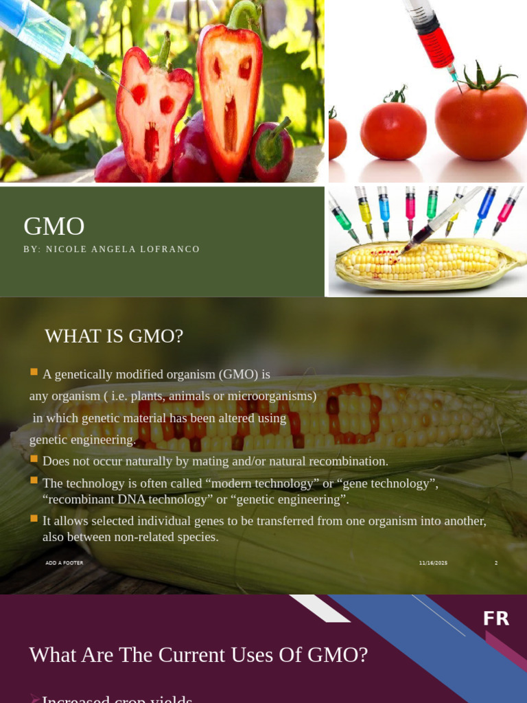 Lofranco, Nicole Angela Gmo Biotech | PDF | Genetically Modified ...