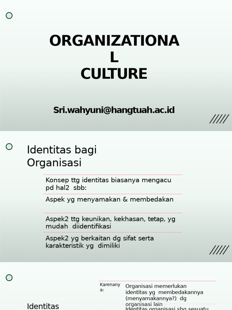 Organizational Cultural | PDF
