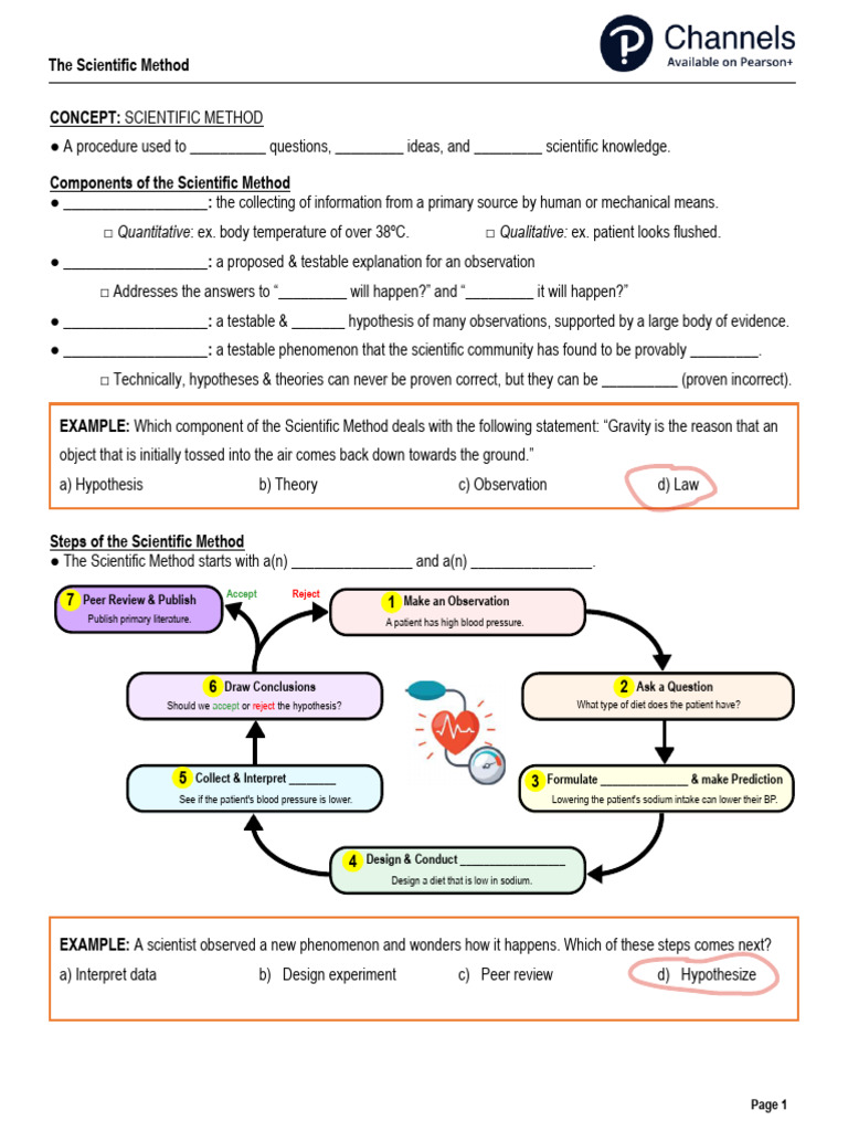Understanding the Scientific Method | PDF | Hypothesis | Scientific Method