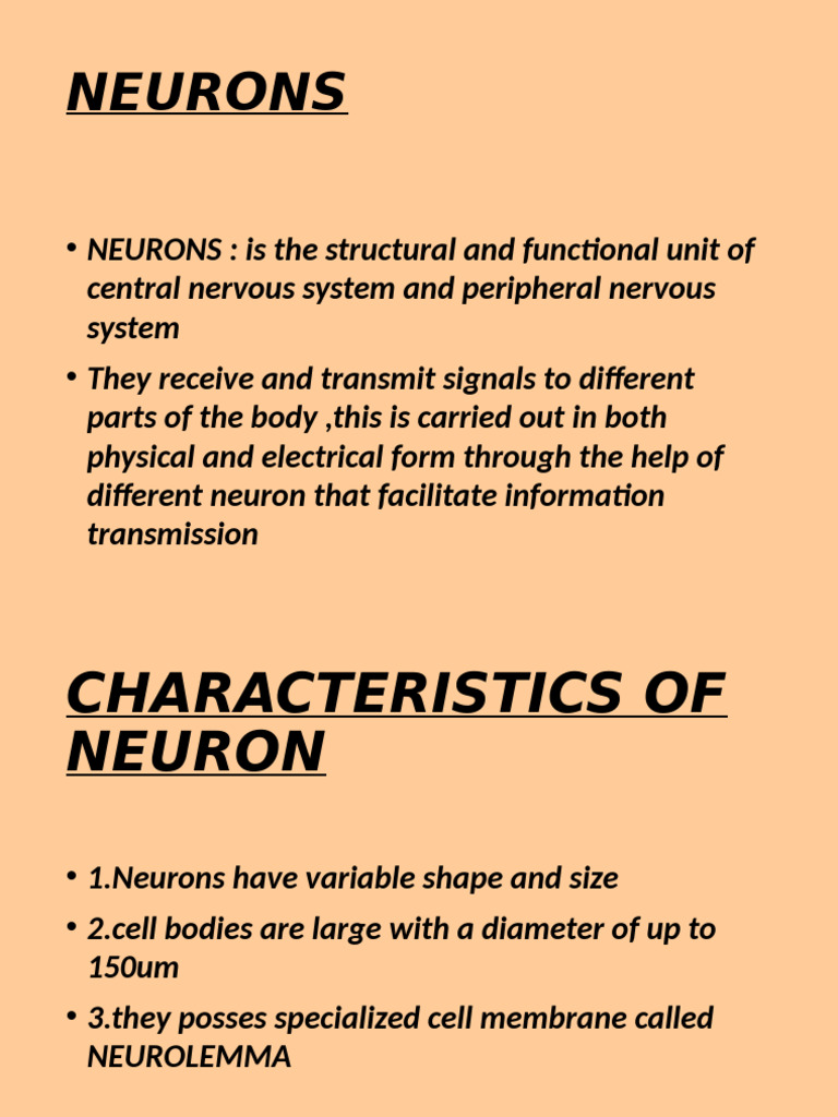 Understanding Neurons: Structure & Function | PDF | Synapse | Chemical ...