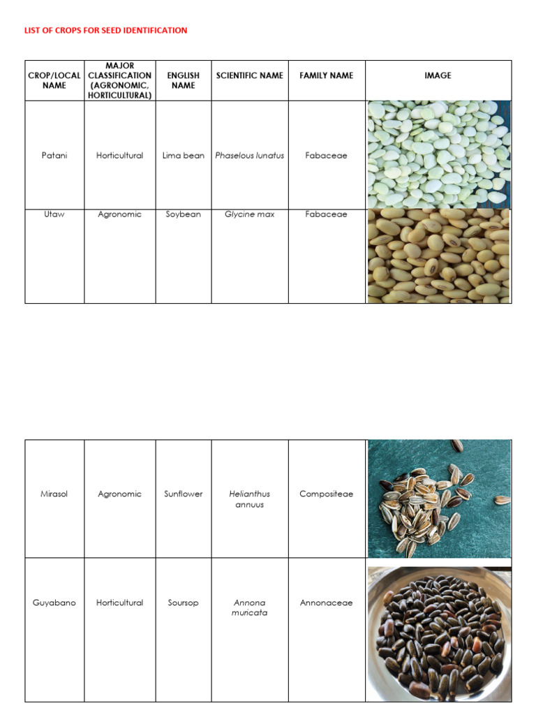 Seed Identification Crop List | PDF