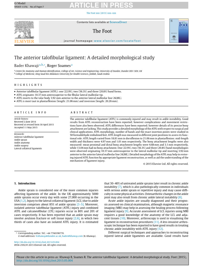 The Anterior Talofibular Ligament A Detailed Morphological Study | PDF ...