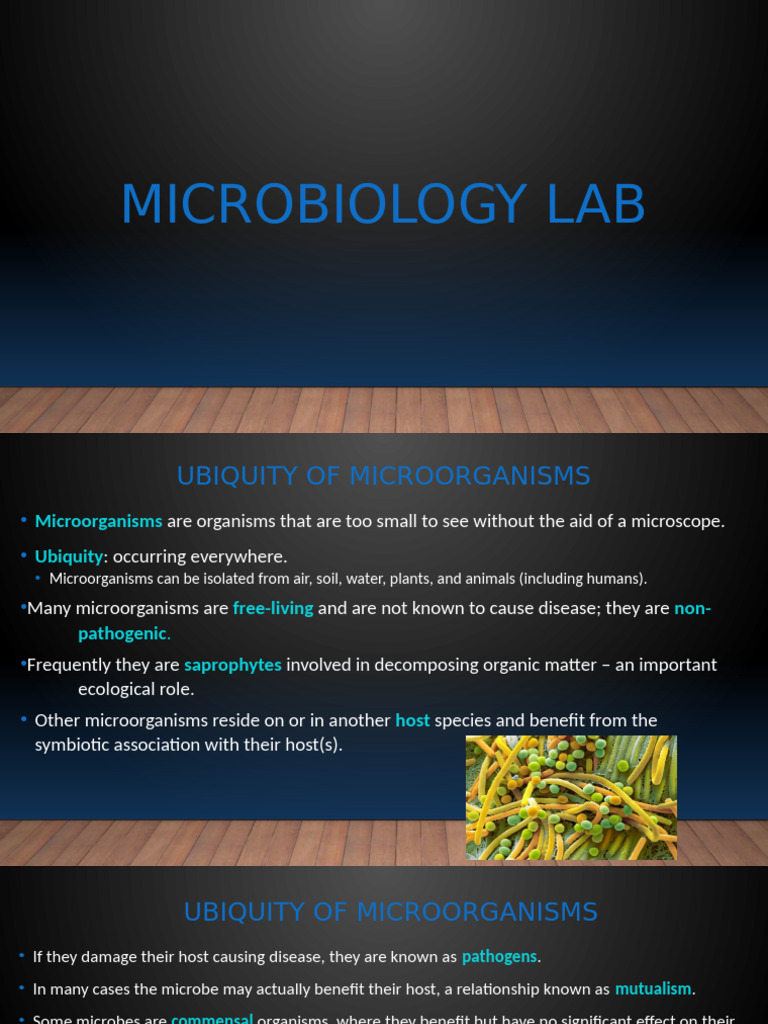 In-Class Microbiology Lab PPT F25 | PDF | Agarose Gel Electrophoresis ...