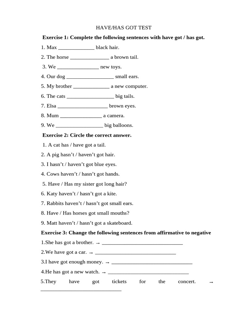 Starter - Have Got and Has Got - TEST | PDF