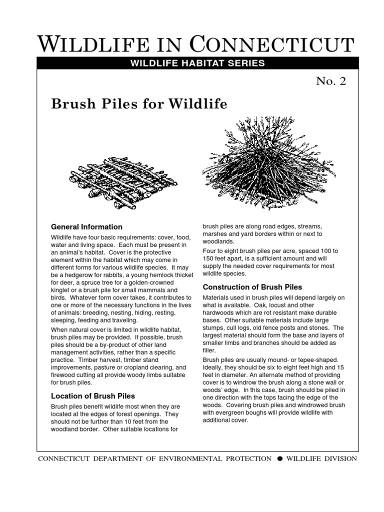 Brush Piles for Wildlife Deep Foundation Habitat