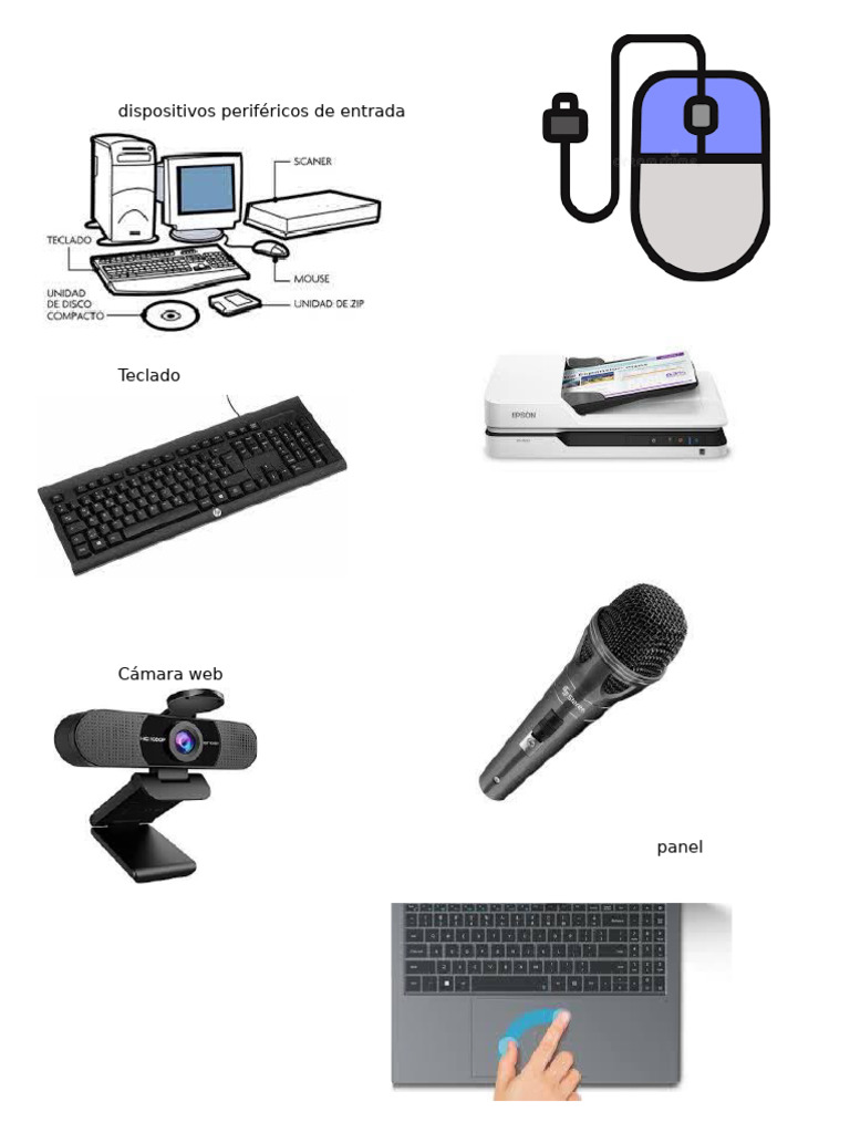 Dispositivos Periféricos de Entrada Mouse | PDF