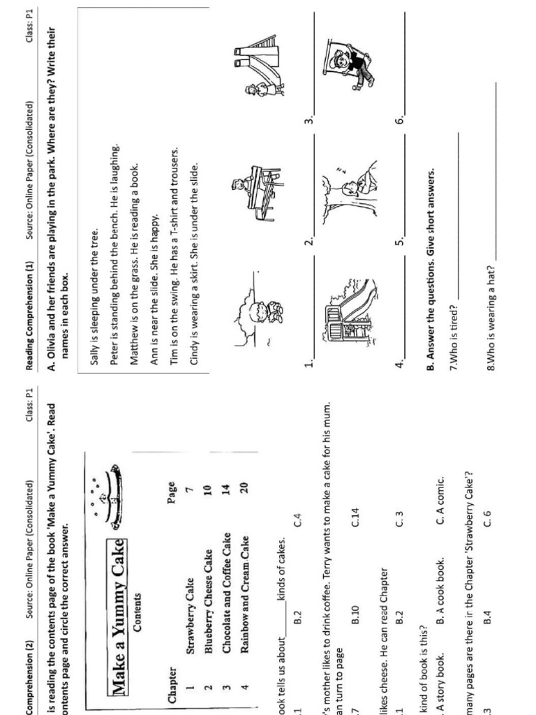 Primary One Reading Comprehension | PDF