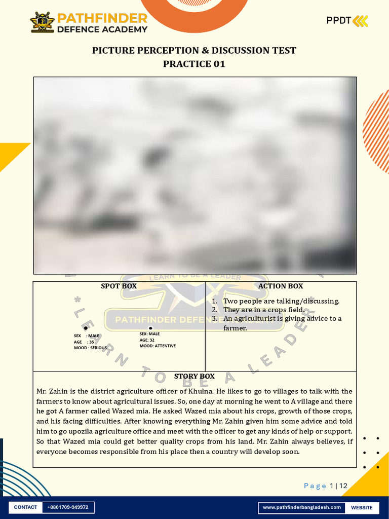 Picture Perception Discussion Test Guide | PDF