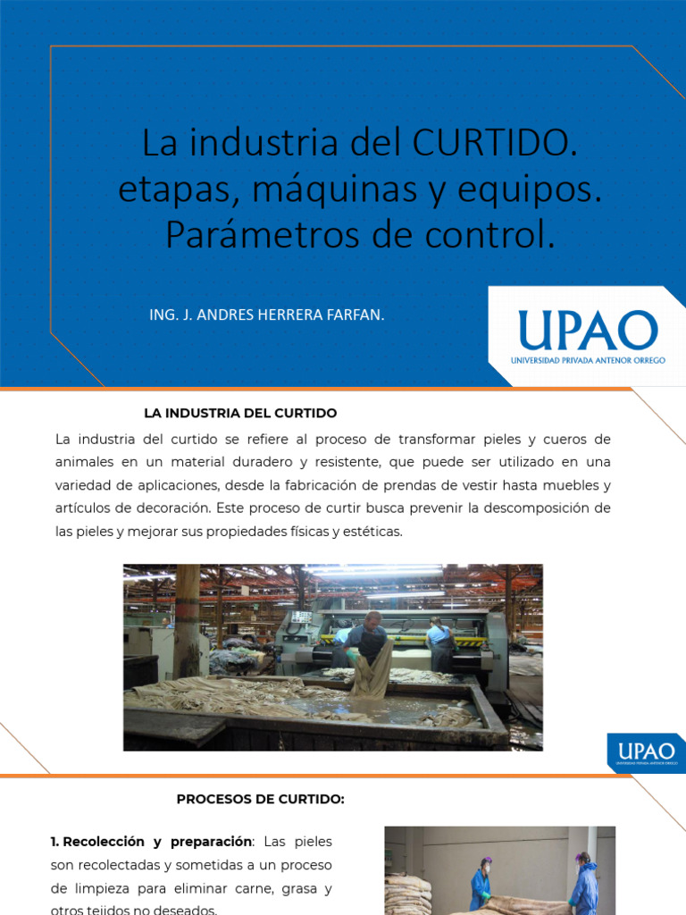 Proceso y Equipos en la Industria del Curtido | PDF | Cuero | Diseño