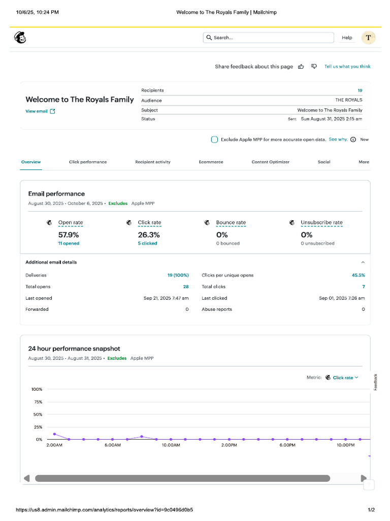 Mailchimp Analytics | PDF