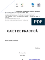 Caiet_Practica