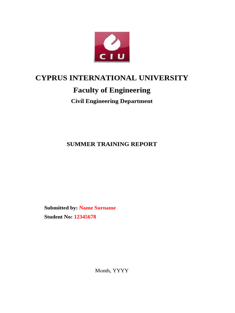 Template For CVLE300 Report (Updated 29.04.2022) | PDF