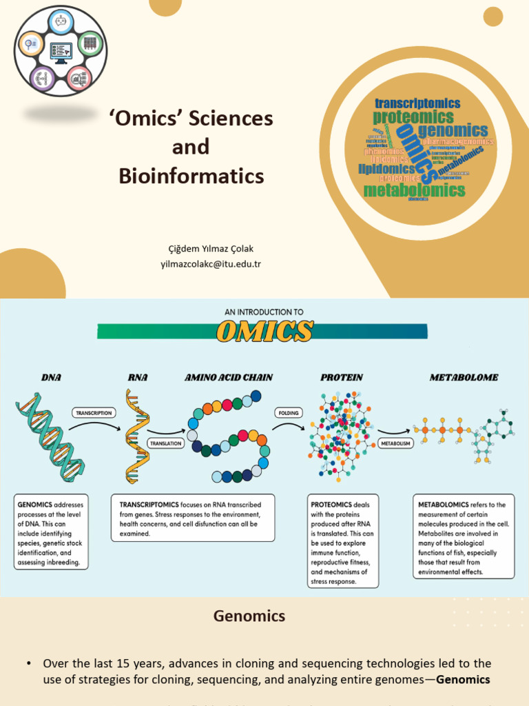 Understanding Genomics and Bioinformatics | PDF | Genomics | Human Genome