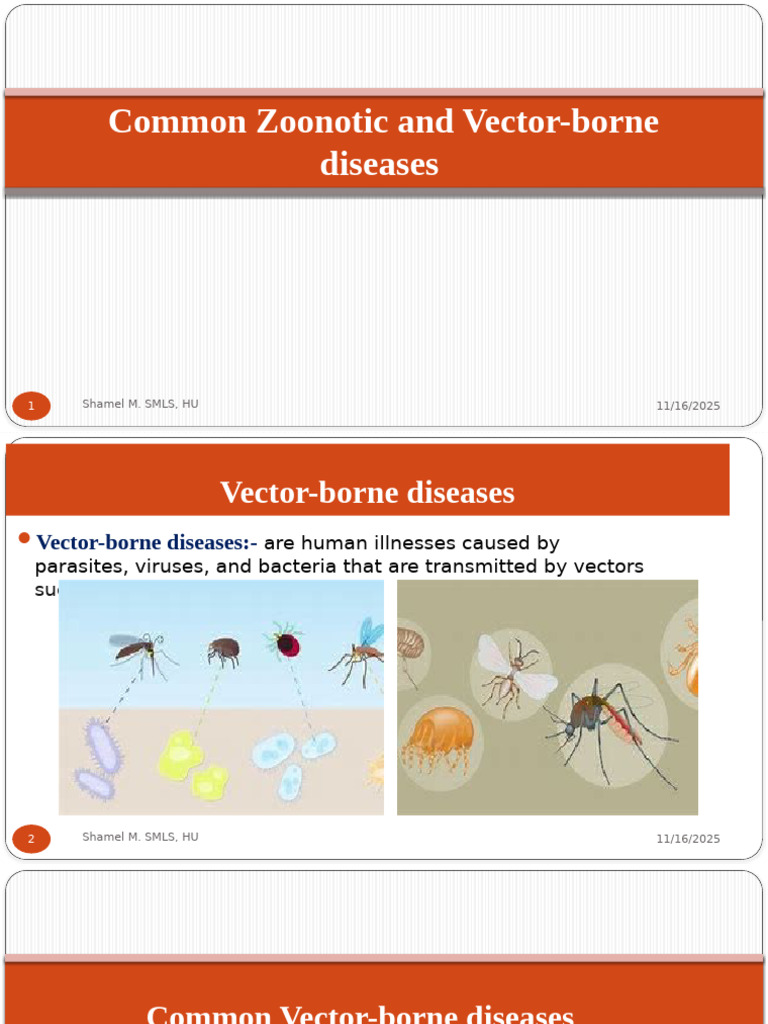 Common Vector-Borne Diseases Overview | PDF | Anthrax | Lyme Disease
