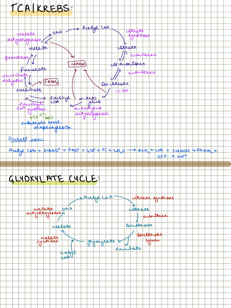 Tca | PDF