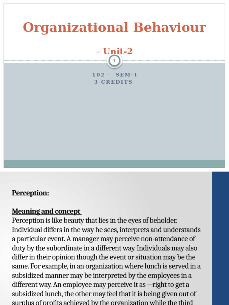 Understanding Perception in Organizations | PDF | Perception ...