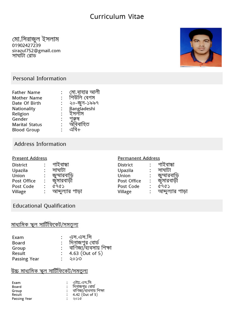 My CV | PDF