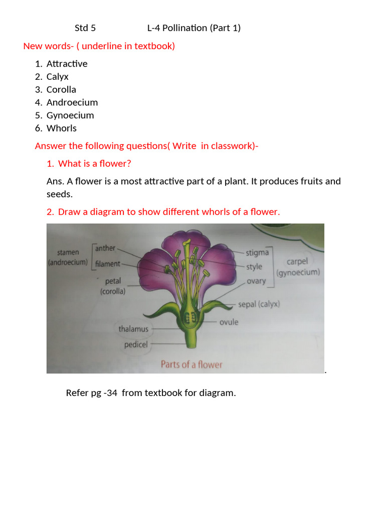 STD 5 L 4 Part 1 Notes | PDF