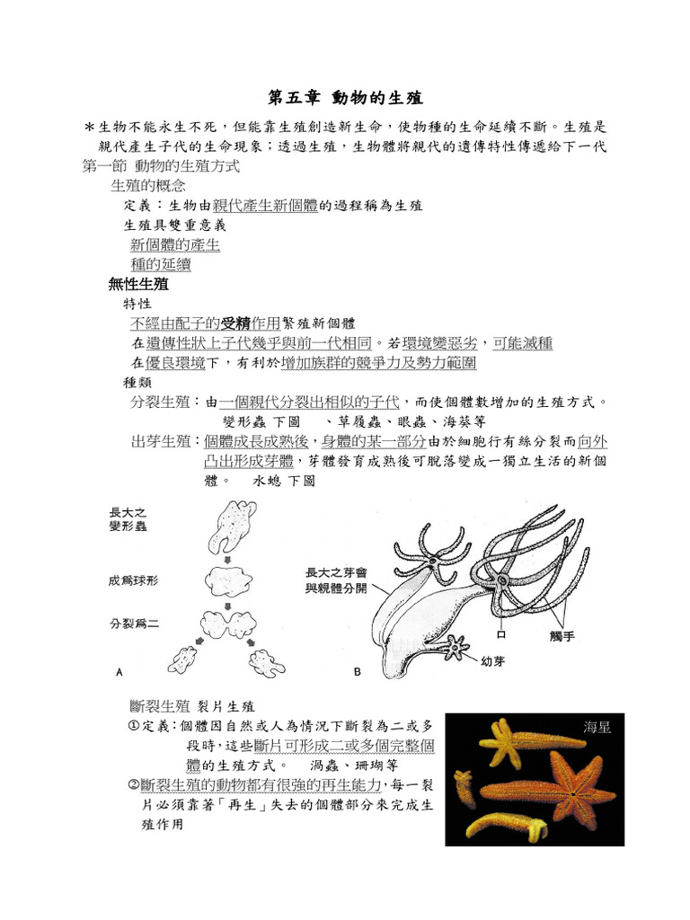 生殖 | PDF