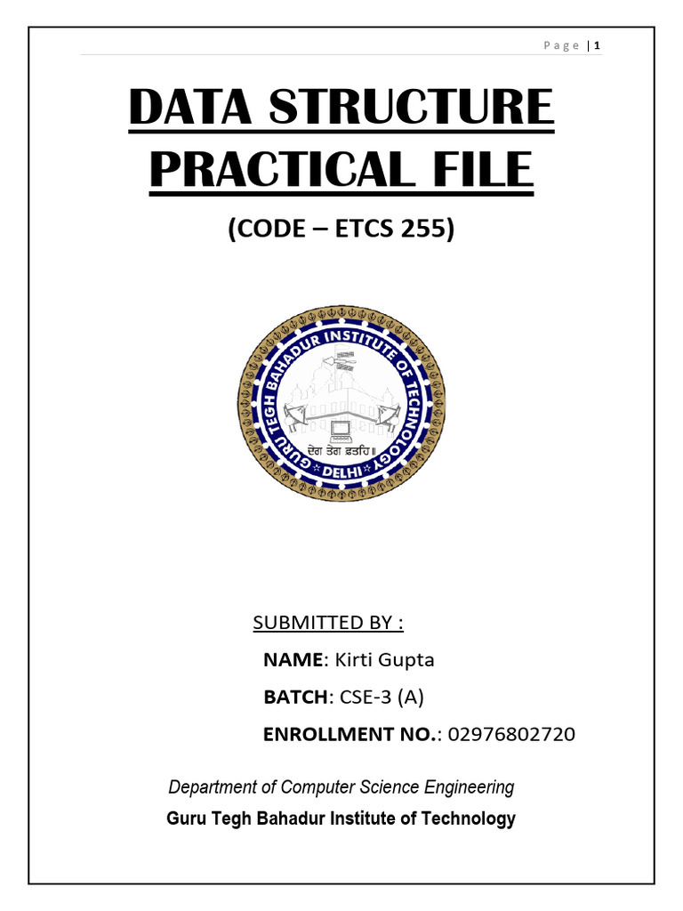 Data Structure Practical Programs Guide | PDF | Queue (Abstract Data ...
