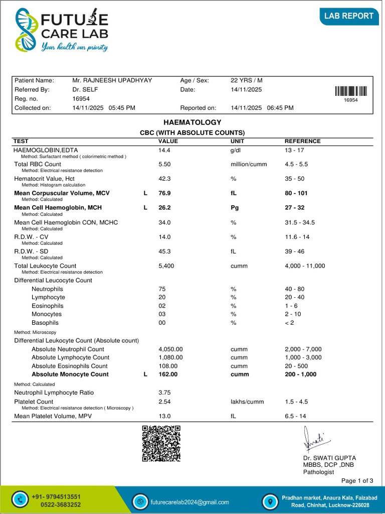 Complete Hematology and Serology Report | PDF | White Blood Cell ...