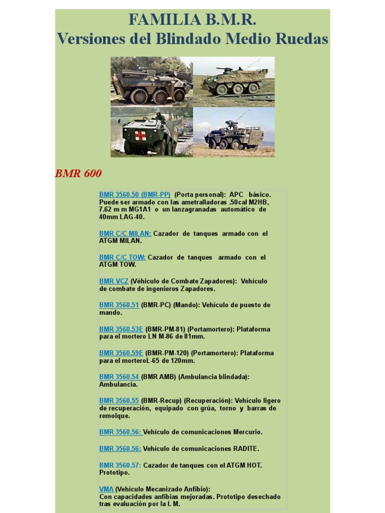Versiones - Familia BMR | PDF | Business