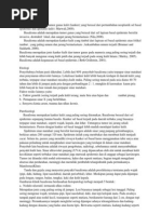 Download Basalioma by Mamed Demam Energy SN94956929 doc pdf