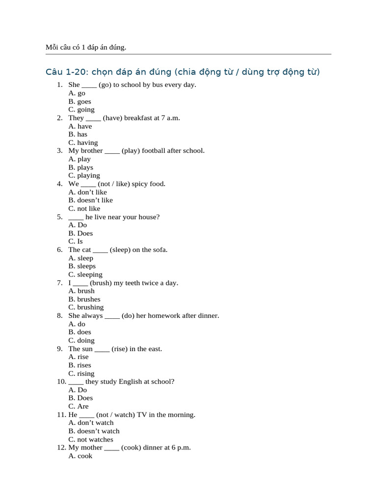 English Verb Tense Practice Quiz | PDF | Chess Openings | Chess Theory