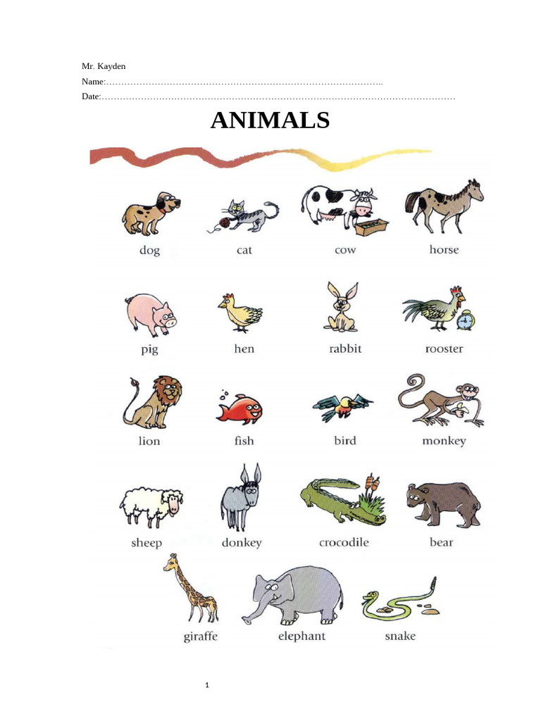 Animals | PDF