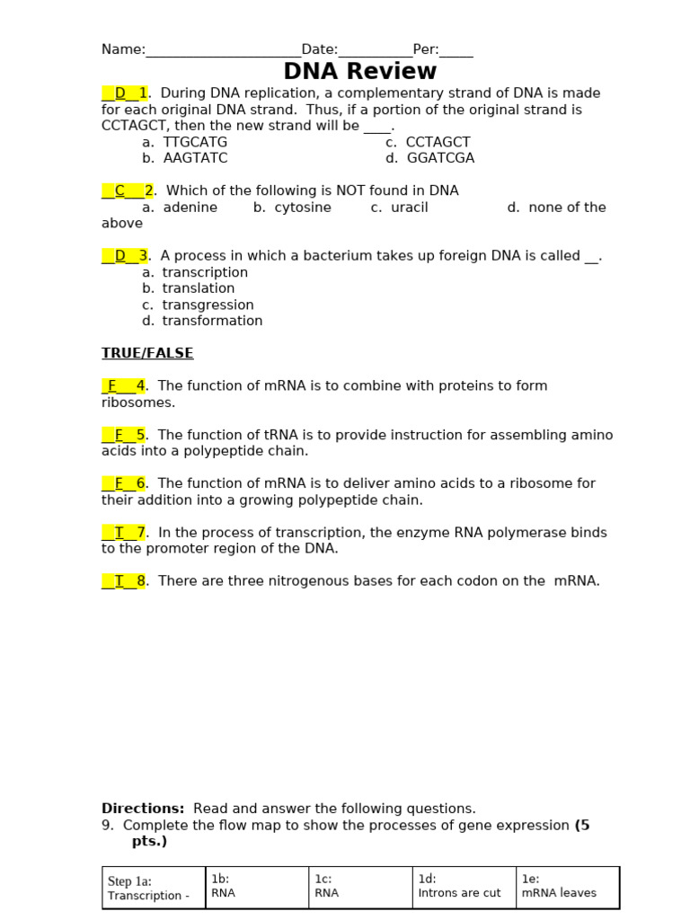 Dna Review Key | PDF | Dna | Messenger Rna